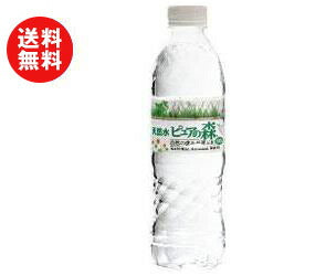 Natural Water Pure Forest 500ml PET Bottle x 24 