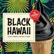 Black Hawaii Ready Base for Gelato & Soft Serve - Case of 8 x 1.45 KG bags - Rubicone Canada - Ships Free Within Canada on Orders Above CAD $199