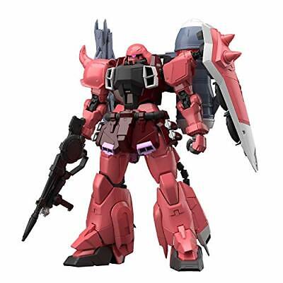MG 1/100 Gunner Zaku warrior (Lunamaria Hawke Custom)