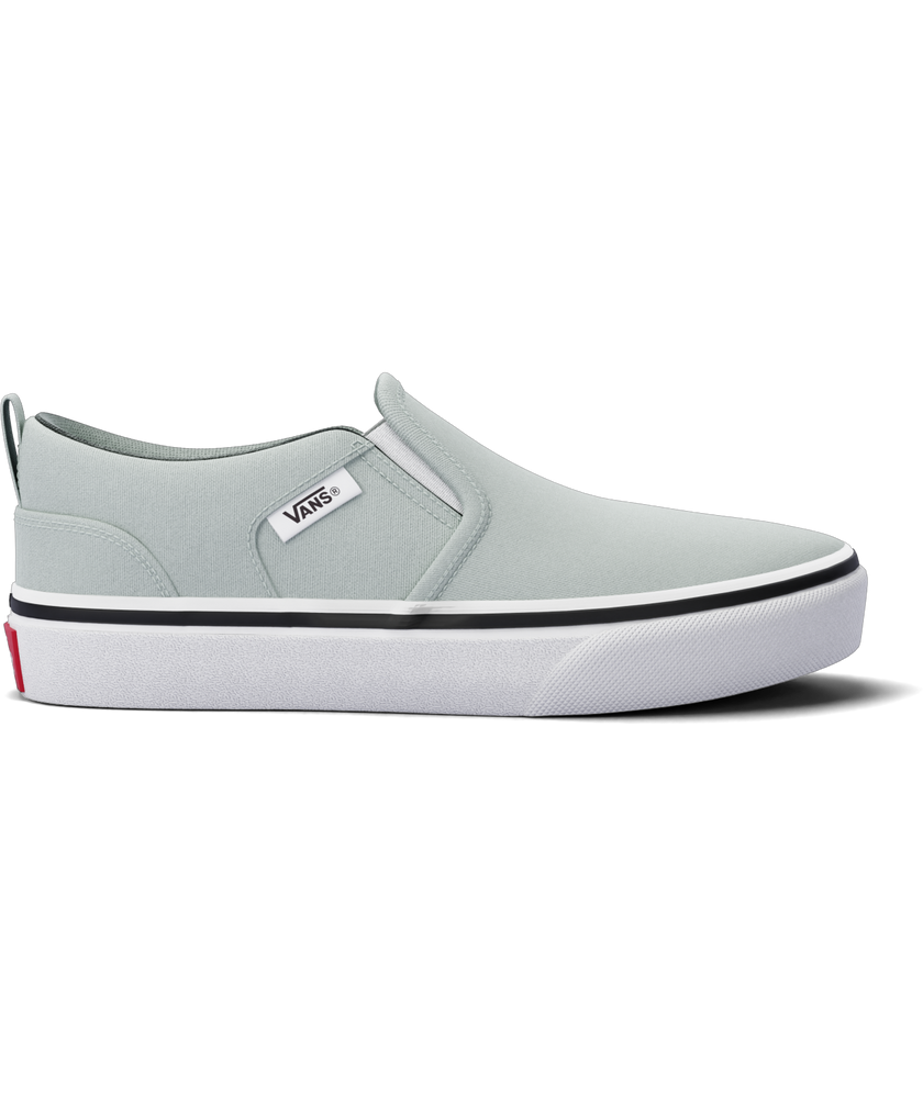 Vans Asher - Womens Skate Shoe
