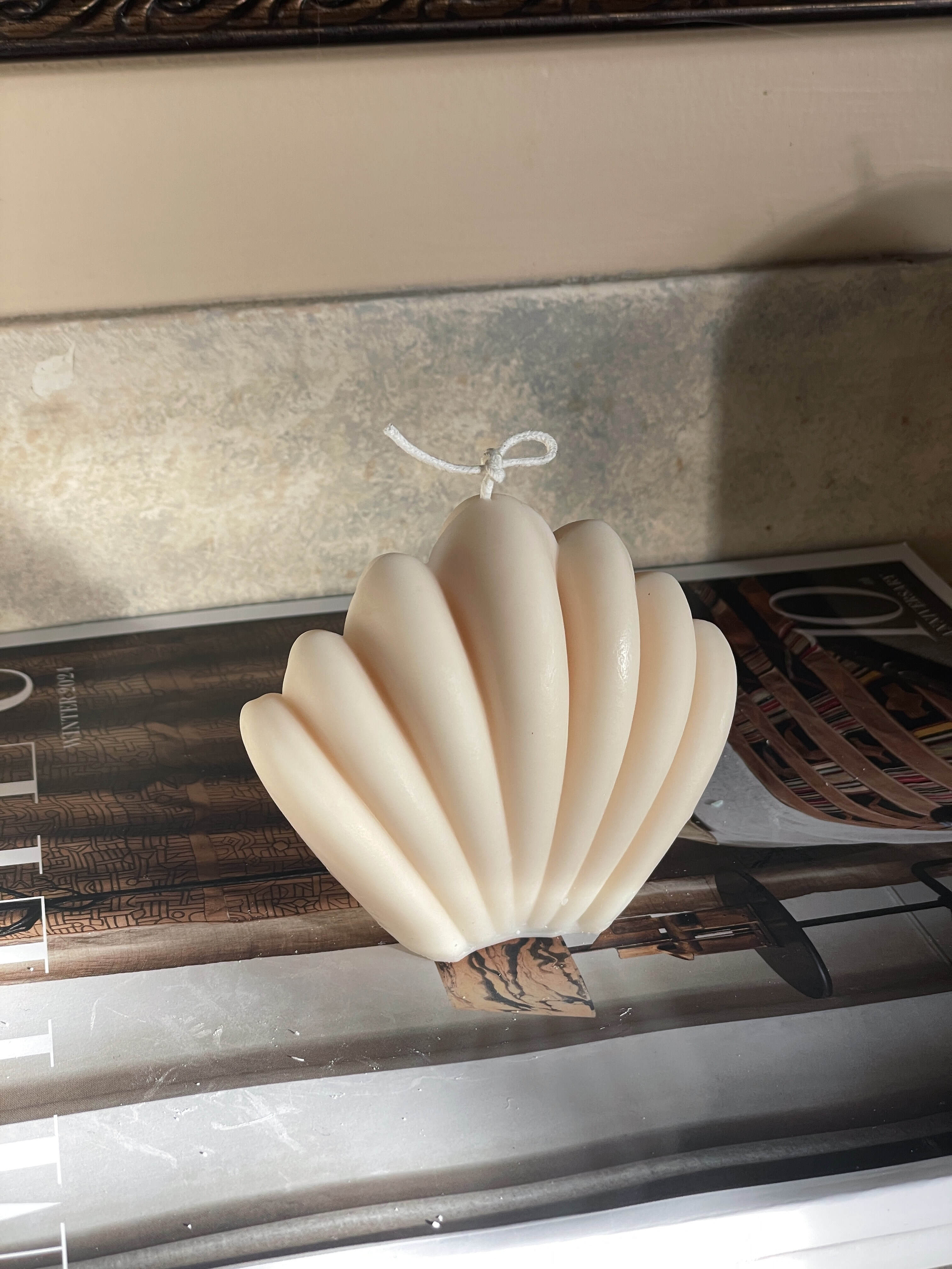 Elegant Shell