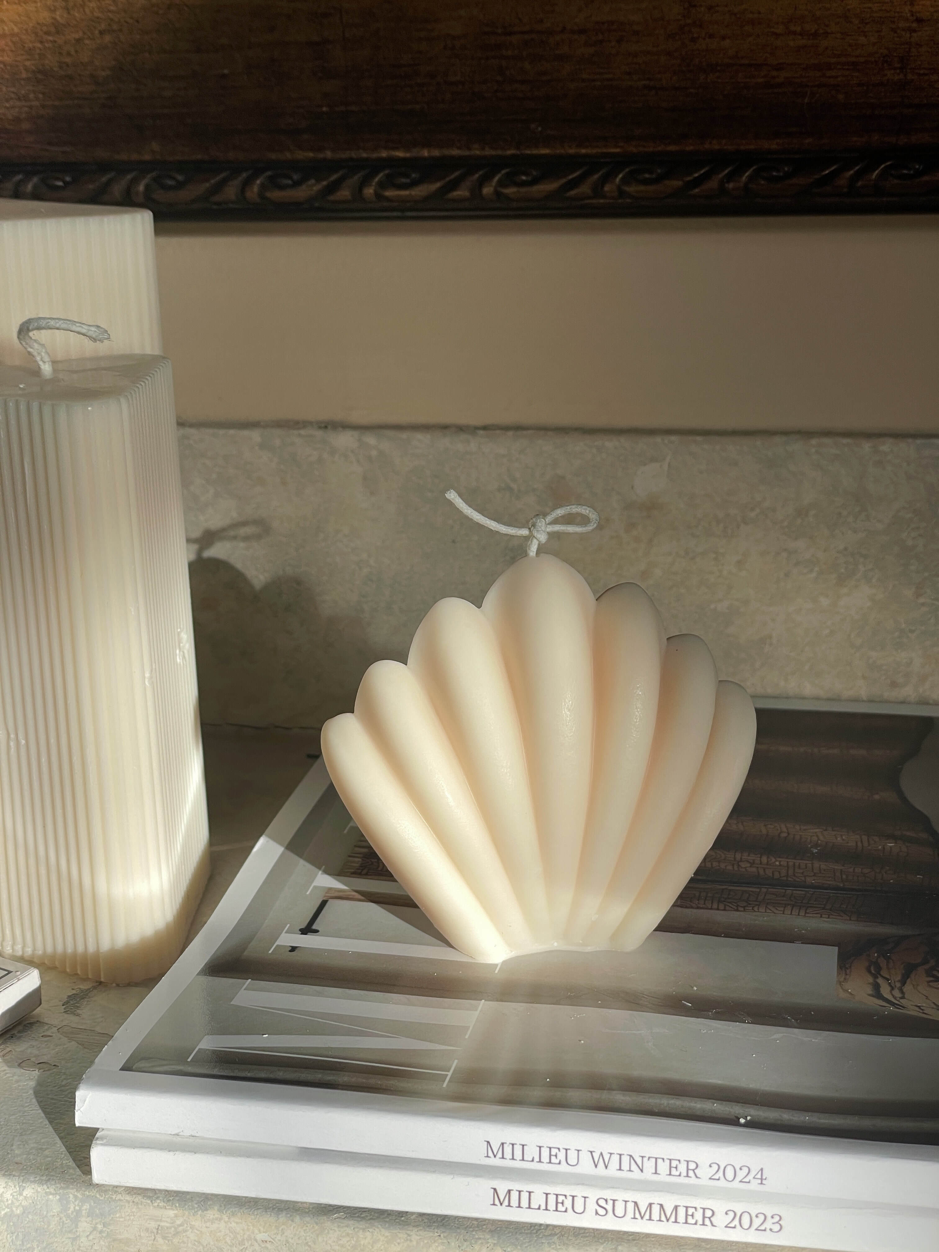 Elegant Shell