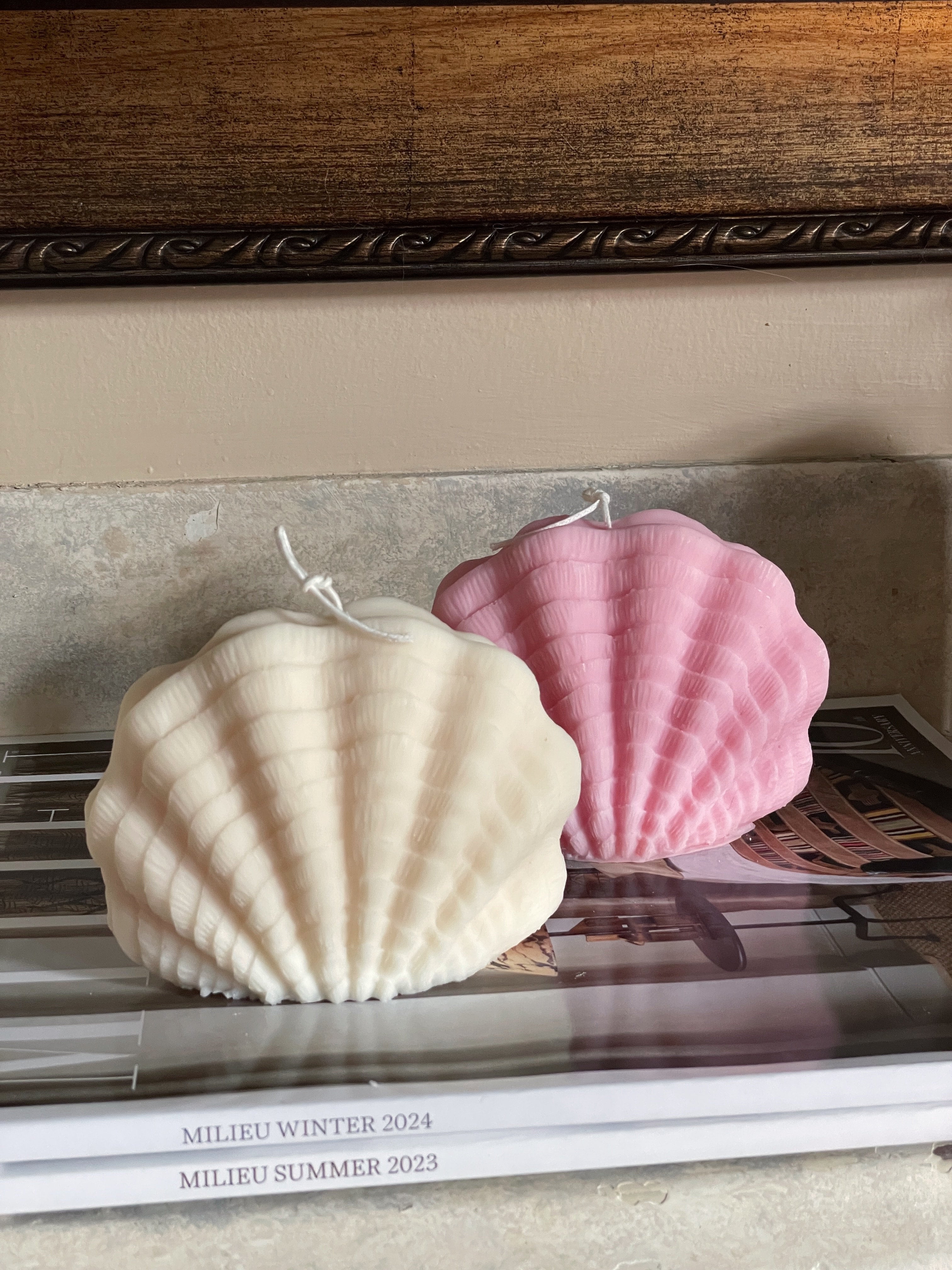 Ocean Shell