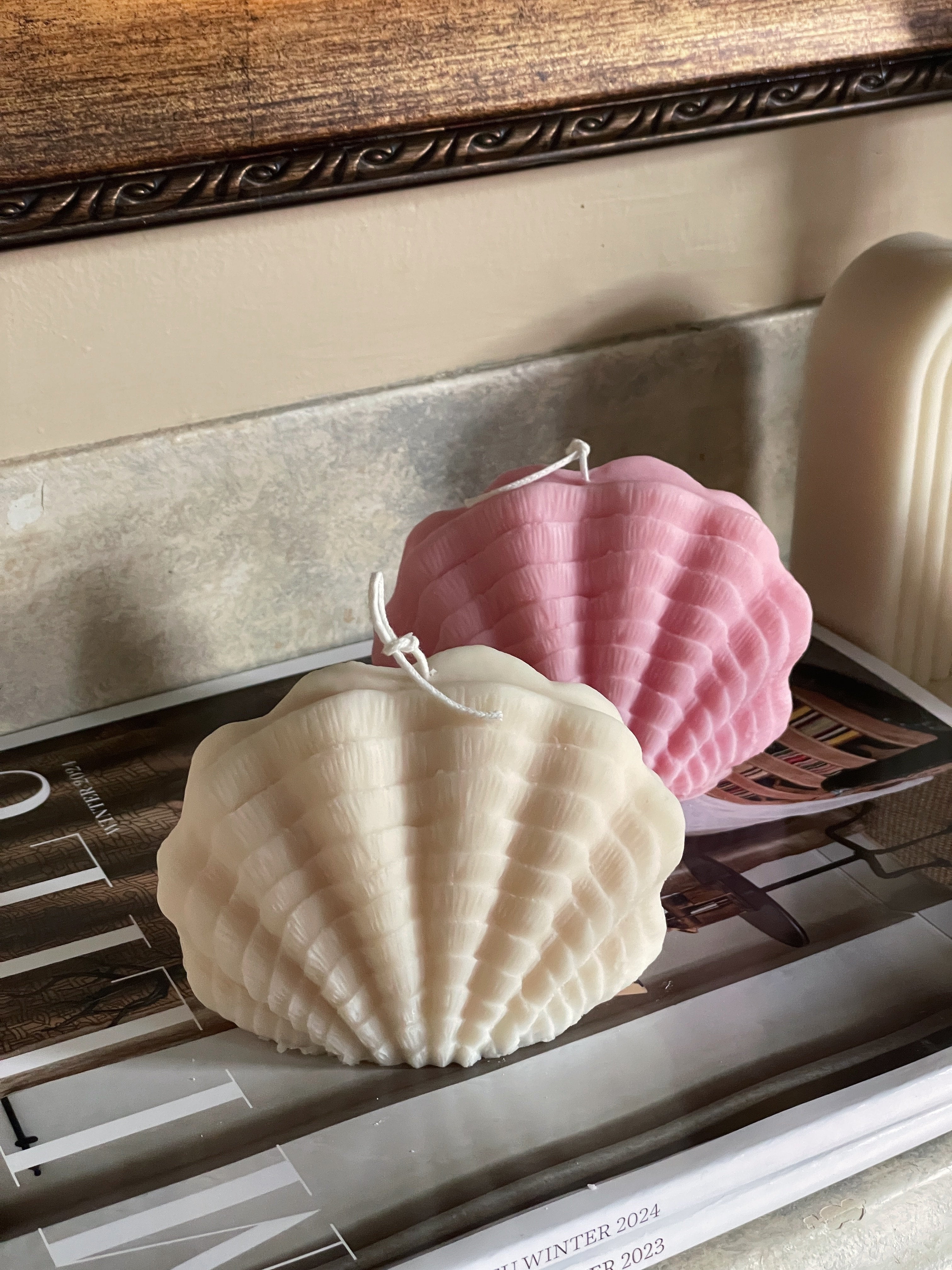 Ocean Shell