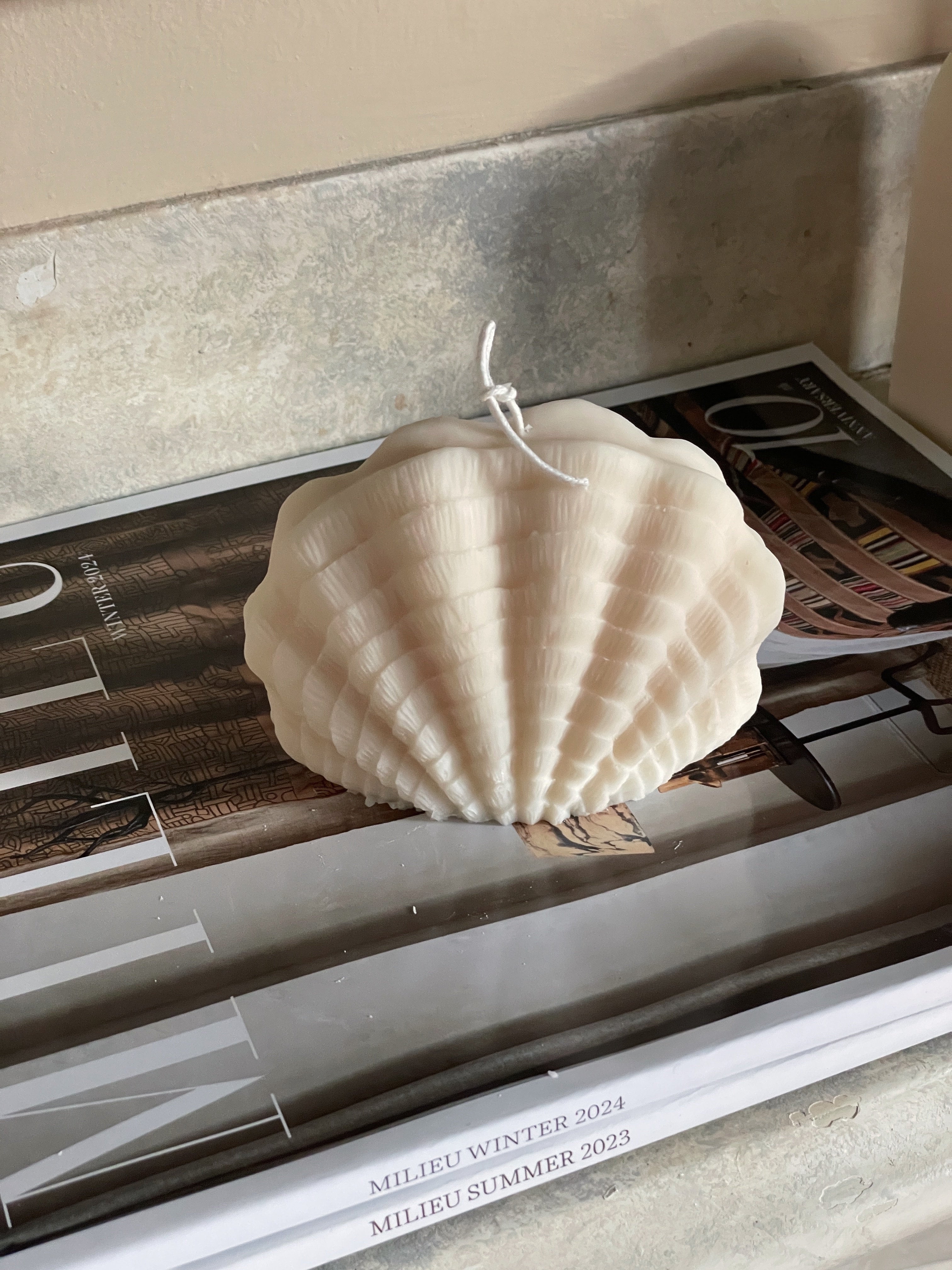 Ocean Shell