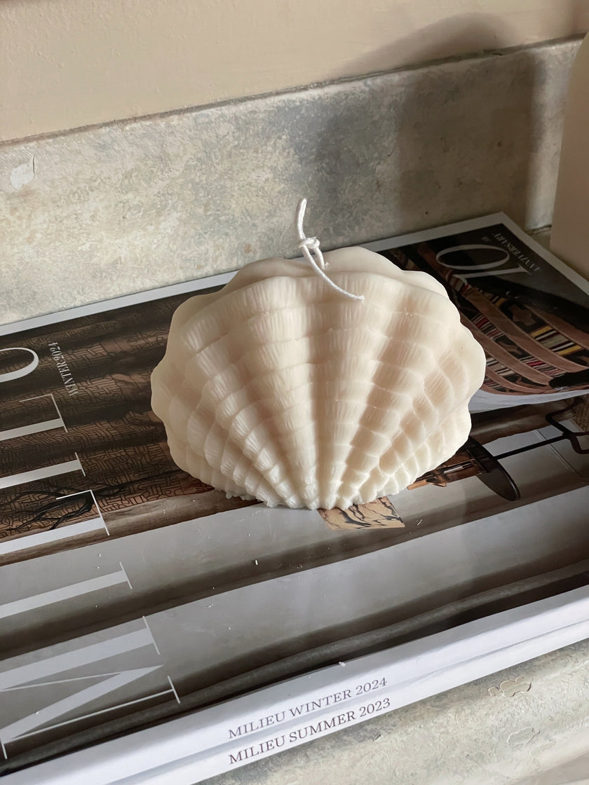 Ocean Shell