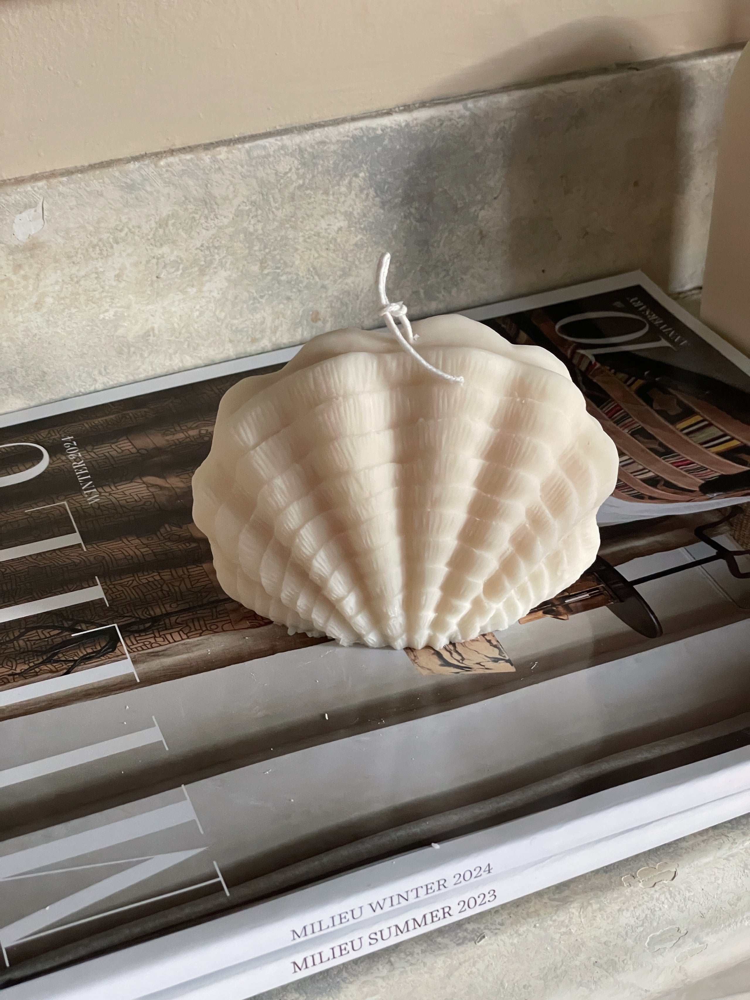 Ocean Shell