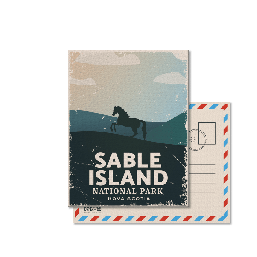Sable Island National Park of Canada Postcard, Canada Parks