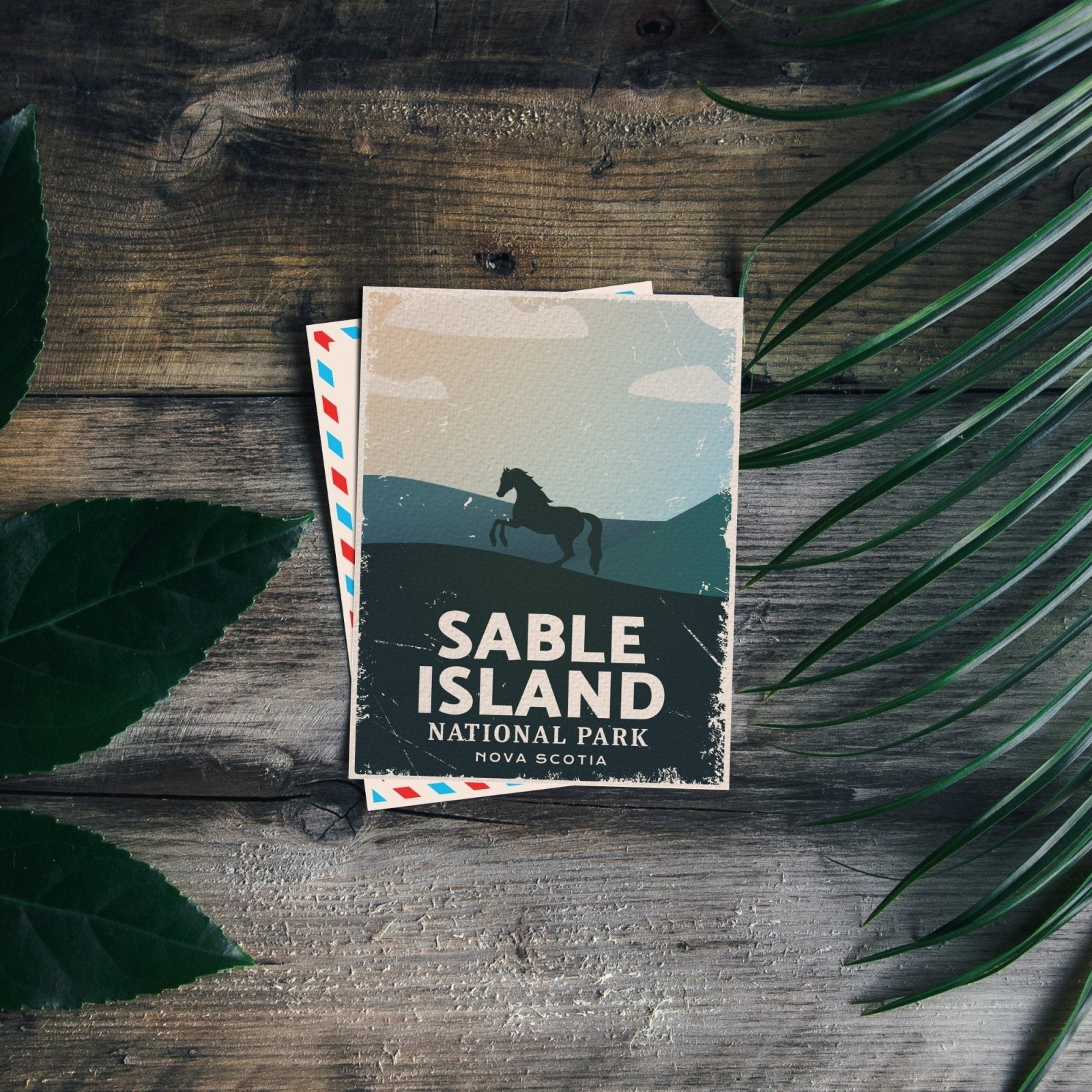 Sable Island National Park of Canada Postcard, Canada Parks