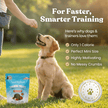 Salmon Mini Training Treats