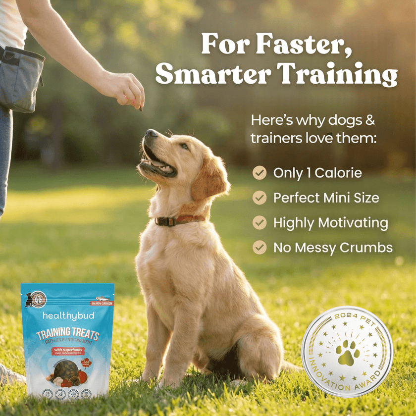 Salmon Mini Training Treats