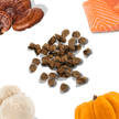 Salmon Mini Training Treats