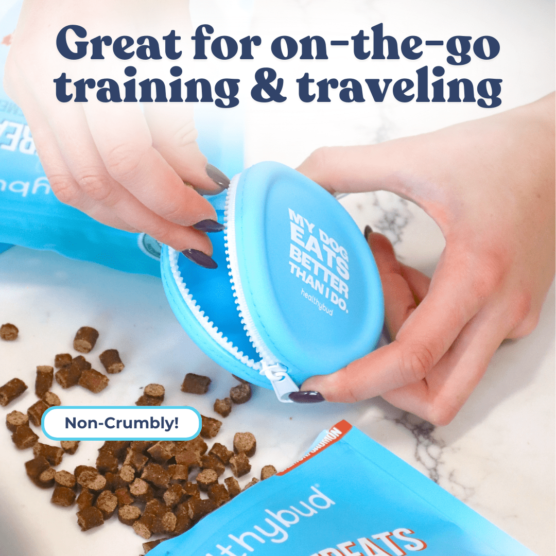 Salmon Mini Training Treats