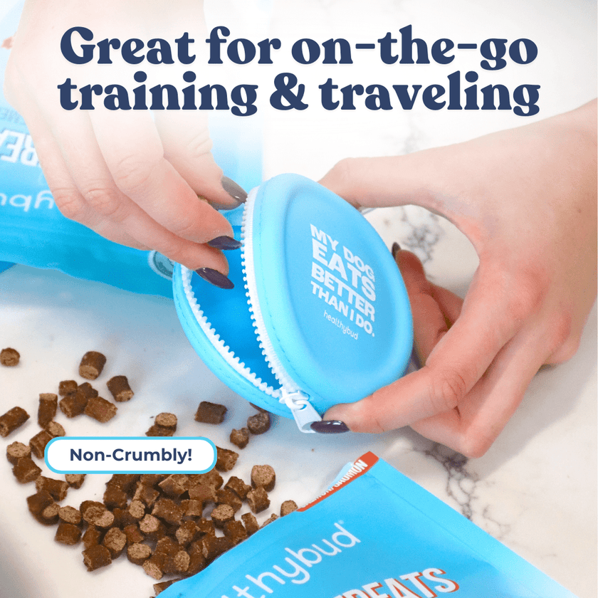 Salmon Mini Training Treats