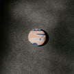 Samuel de Champlain Provincial Park of Ontario Pinback Button, Canada Parks