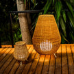 Saona 70