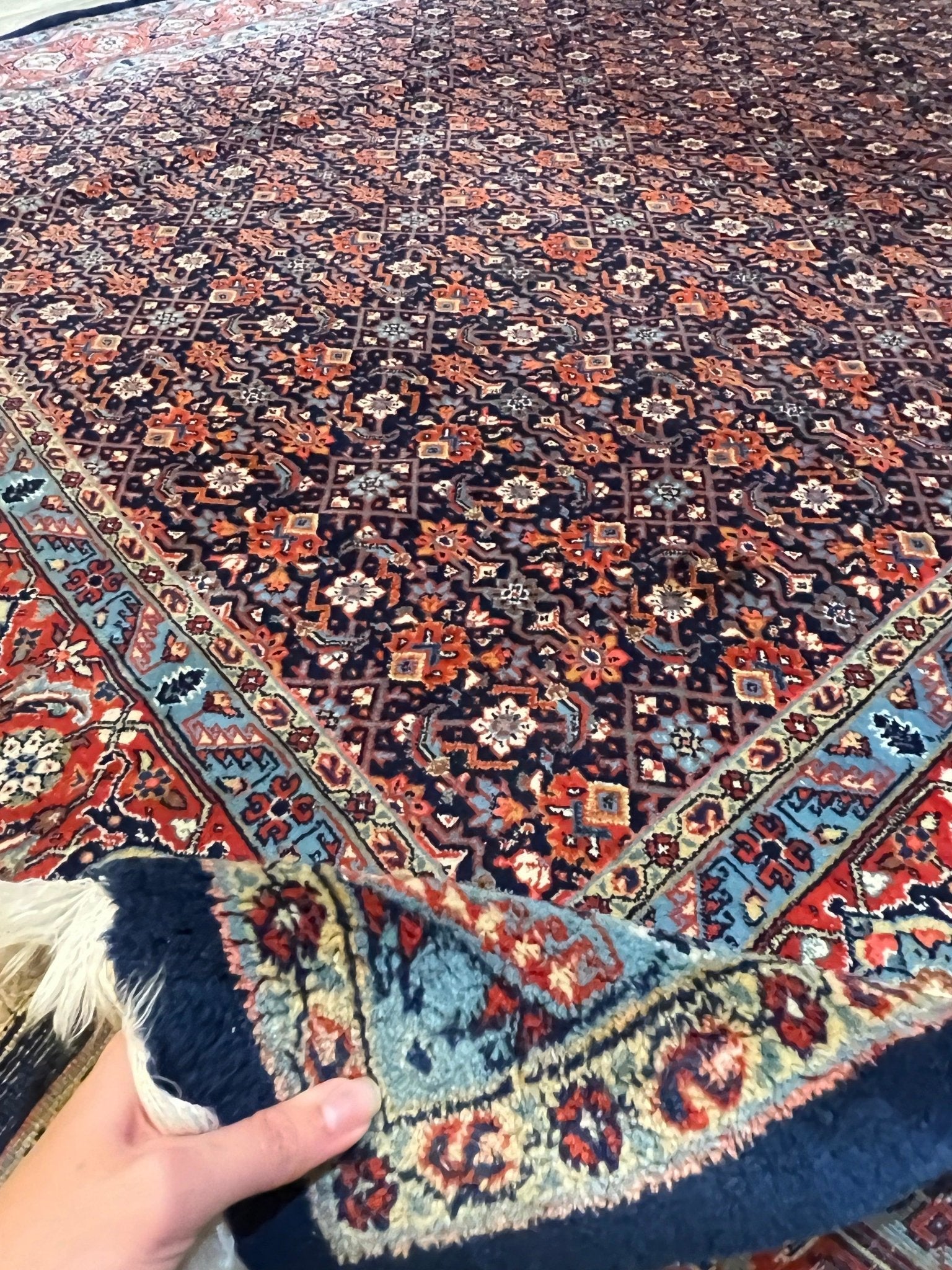 Persian Sarouk Rug | 10' 6