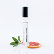 SEA SALT & CITRUS | Inspired by Wood Sage & Sea Salt