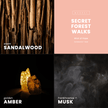 Secret Forest Walks Candle | Sandalwood + Musk