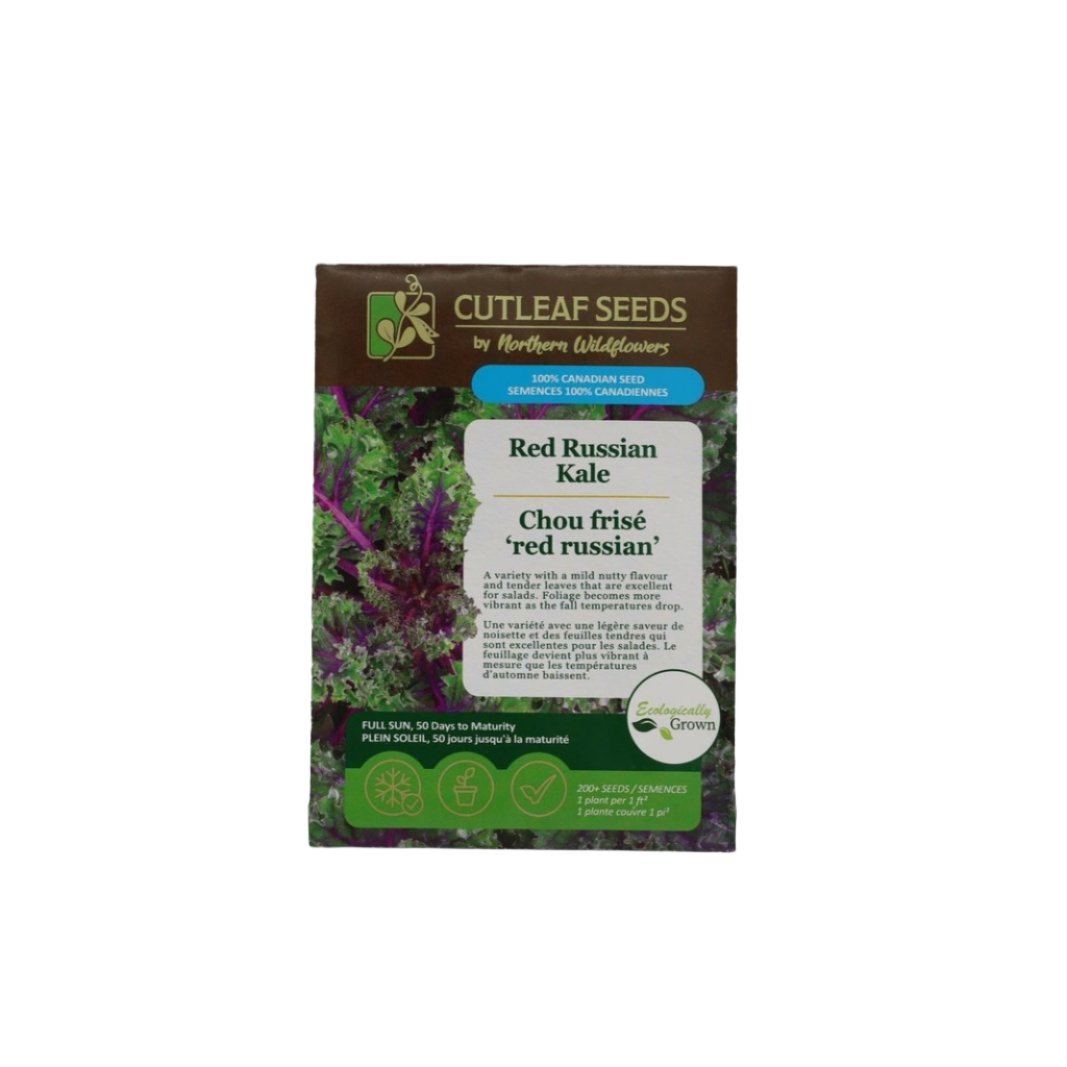 Seeds - Red Russian Kale