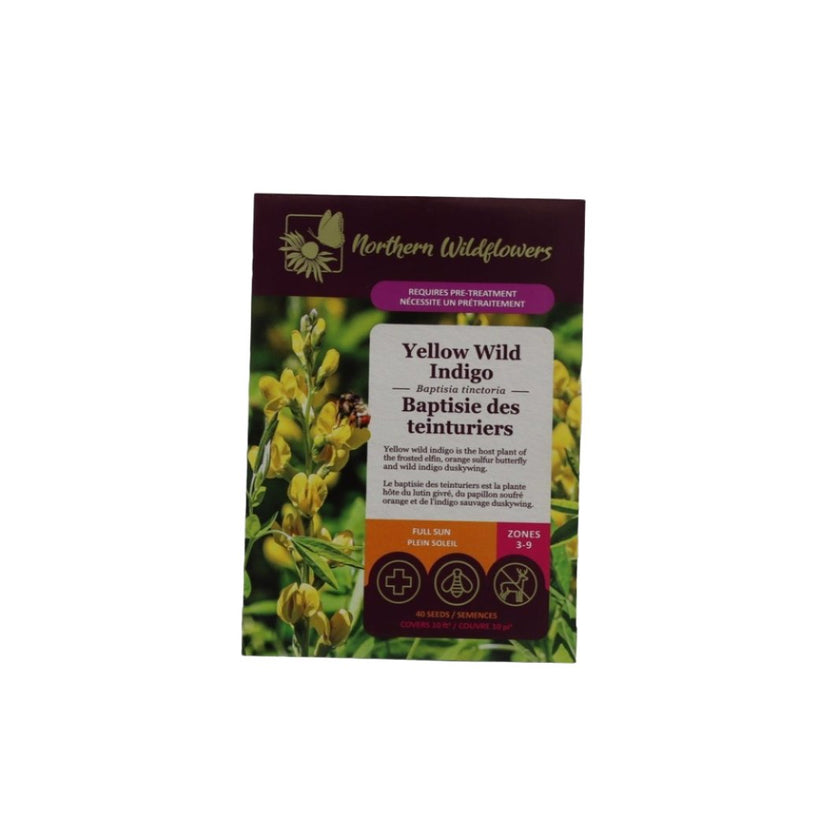 Seeds - Yellow Wild Indigo