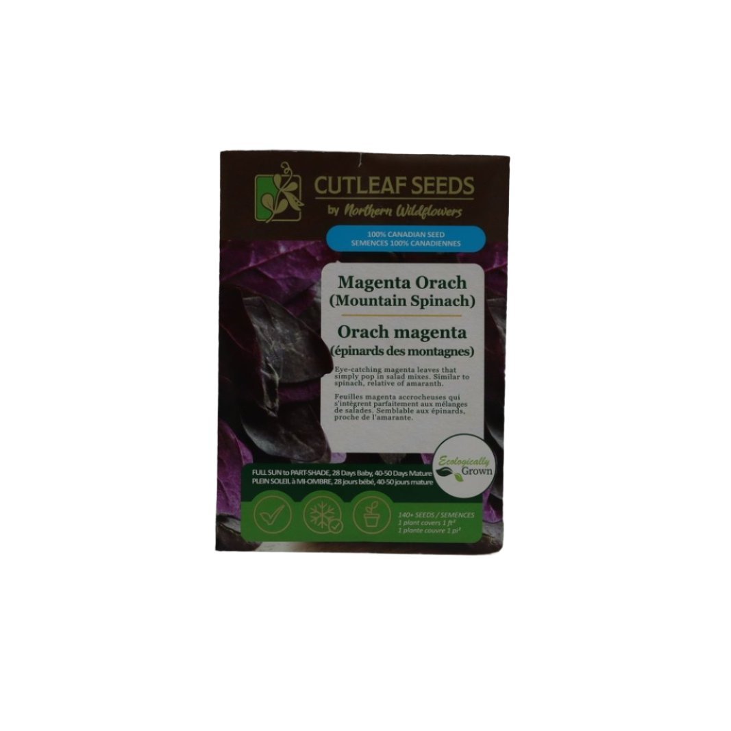 Seeds - Magenta Orach Mountain Spinach