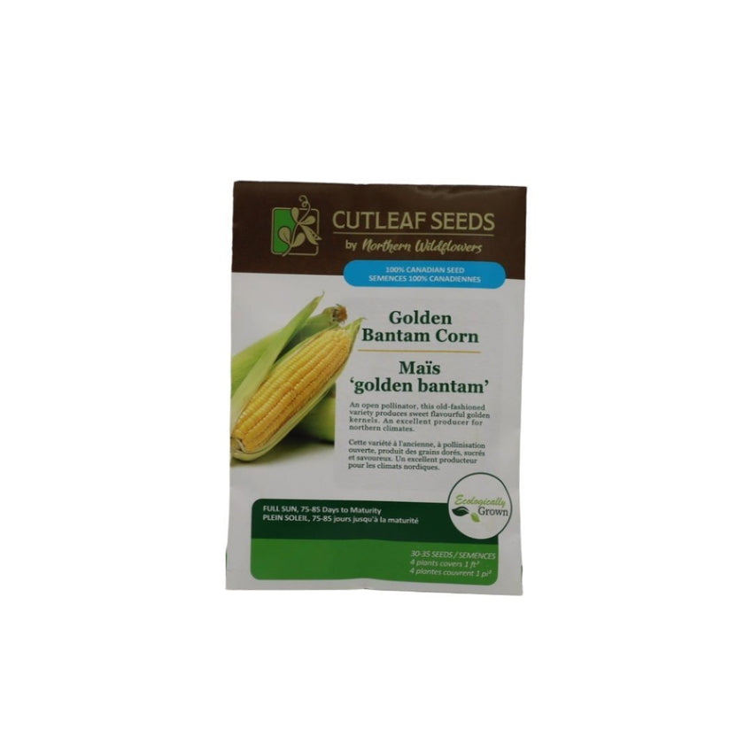 Seeds - Golden Bantam Corn