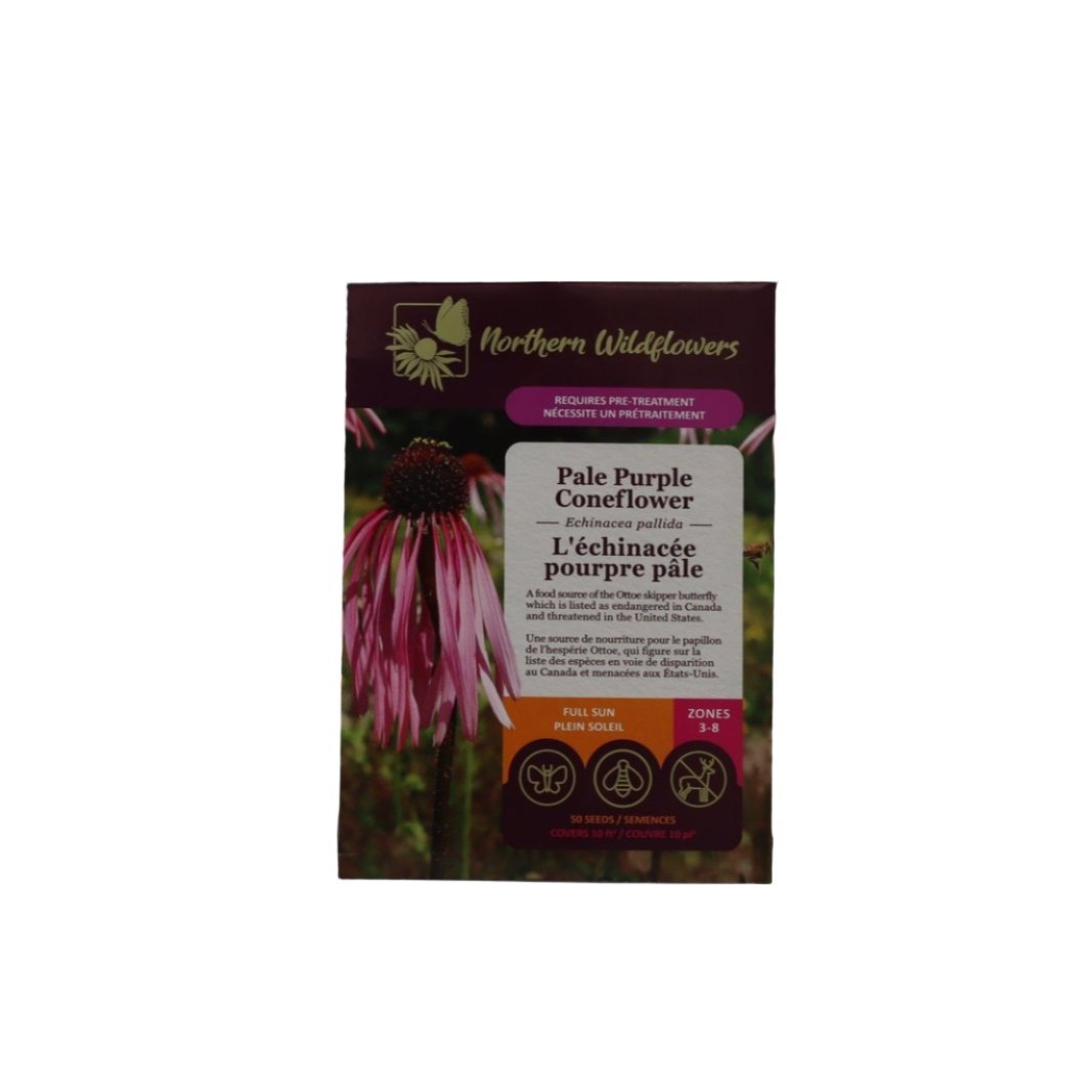 Seeds - Pale Purple Coneflower