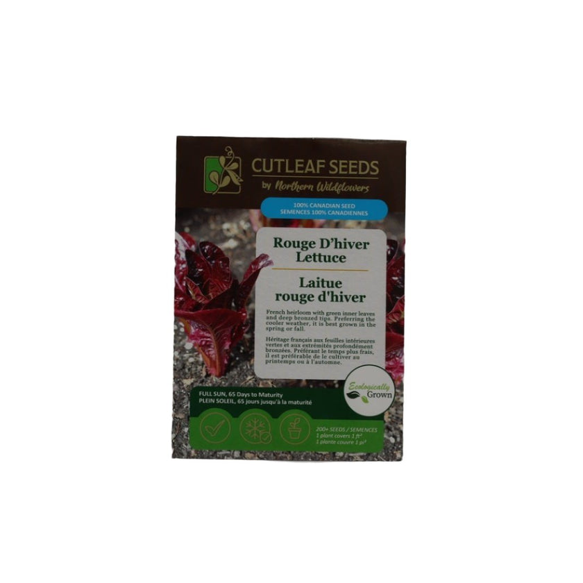 Seeds - Rouge D'hiver Lettuce