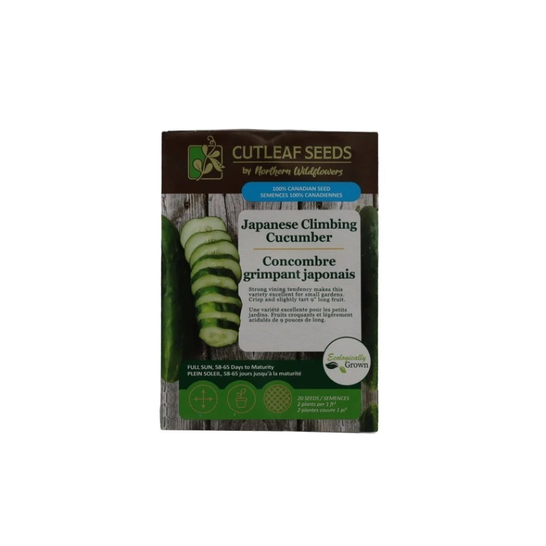 Seeds - Japanese Climbing Cucumber