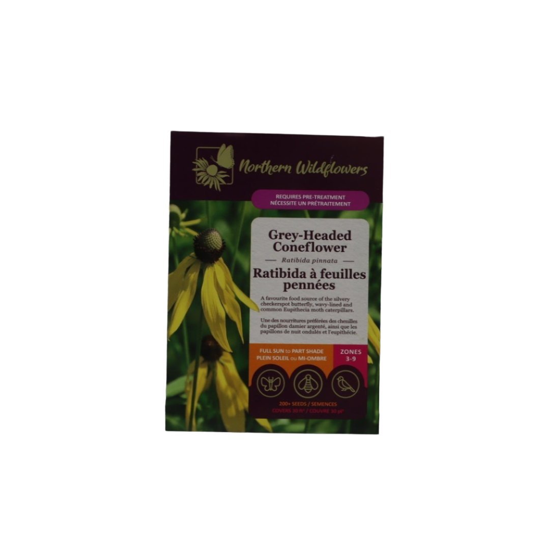 Seeds - Grey-Headed Coneflower