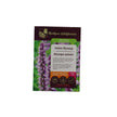 Seeds - Anise Hyssop