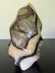 Septarian 
