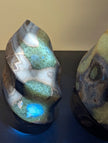 Septarian 