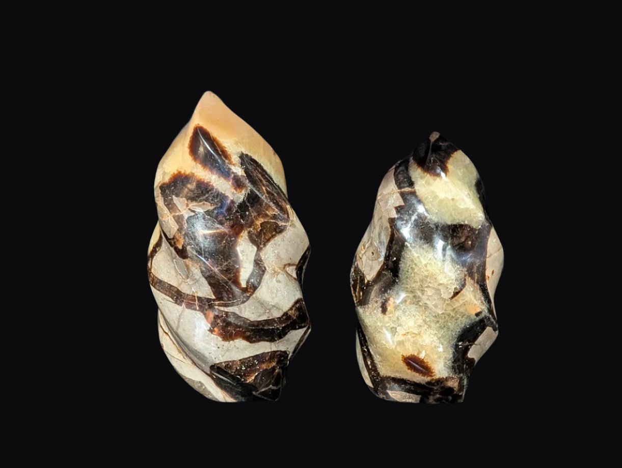 Septarian 