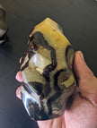 Septarian 