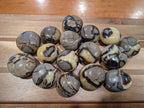 Septarian 