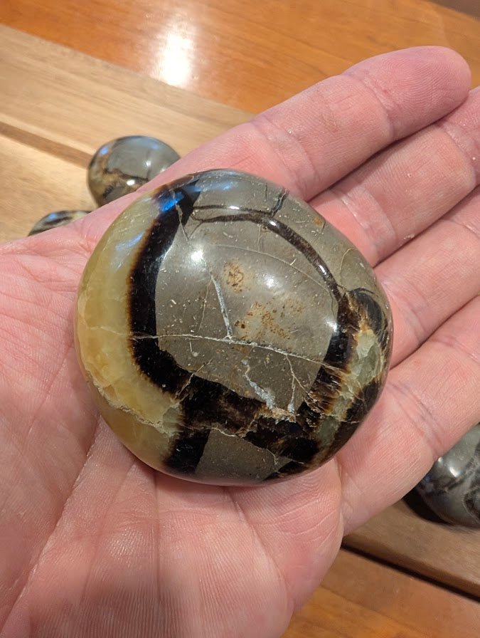 Septarian 