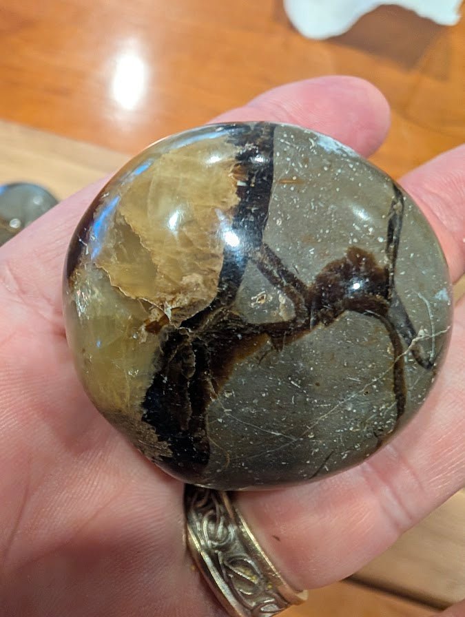 Septarian 