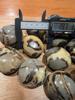 Septarian 