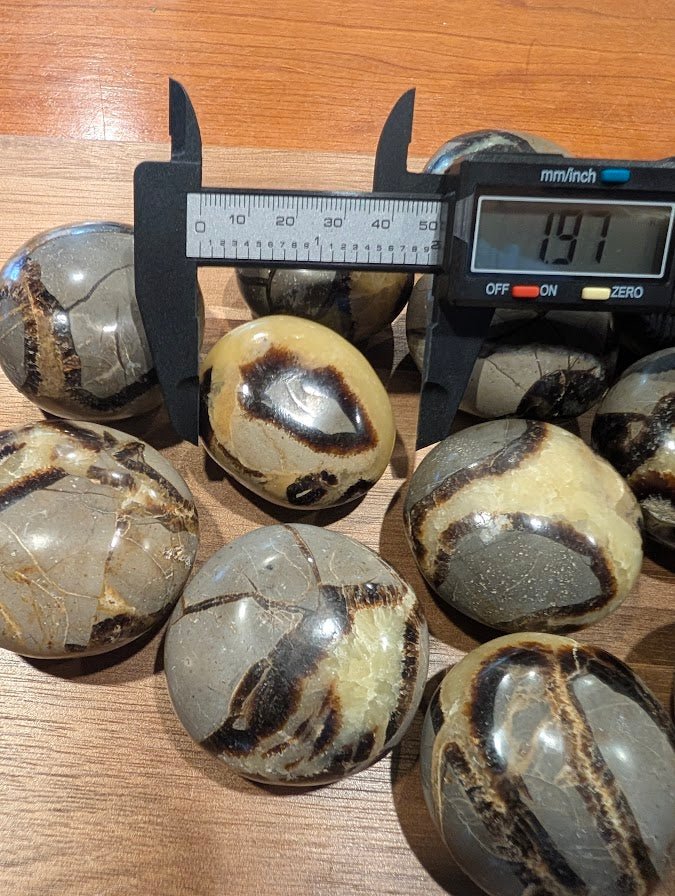 Septarian 