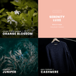 Serenity Luxe Candle | Smoky Woods + Cashmere