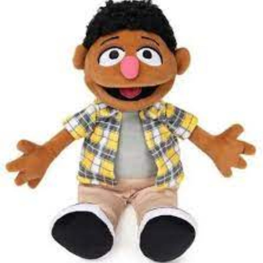Sesame Street Tamir 13