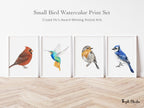 Hummingbird Art Print