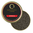 Sevruga Caviar