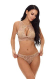 Charming Lingerie Lace Lingerie Set Perspective Lingerie Suit