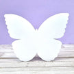 Luxury Shaped Card Blanks & Envelopes - Butterfly