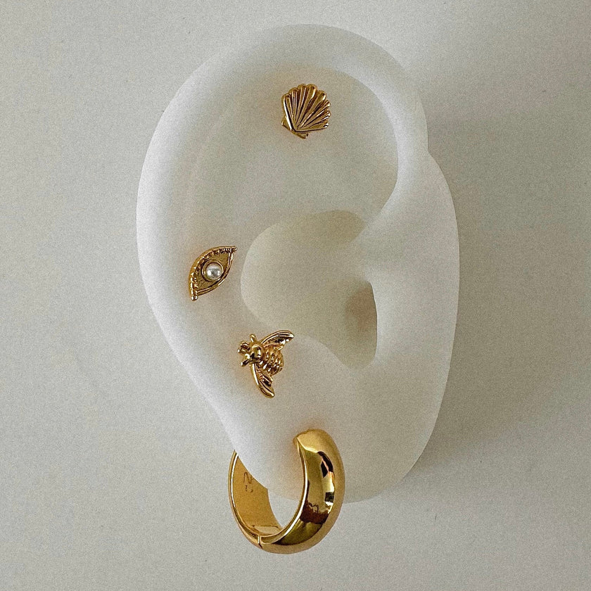 Shell Studs