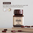 Upakarma Ayurveda 100% Pure Shilajit 90 Capsules