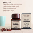 Upakarma Ayurveda 100% Pure Shilajit 90 Capsules